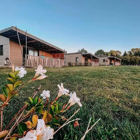 Campsite Auvergne Sancy Bagnols (Puy-de-Dome)